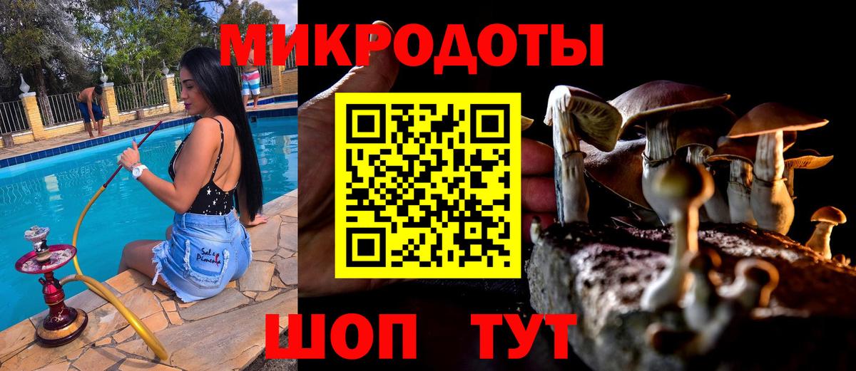 Псилоцибиновые грибы GOLDEN TEACHER  Вход с VPN  Чита 